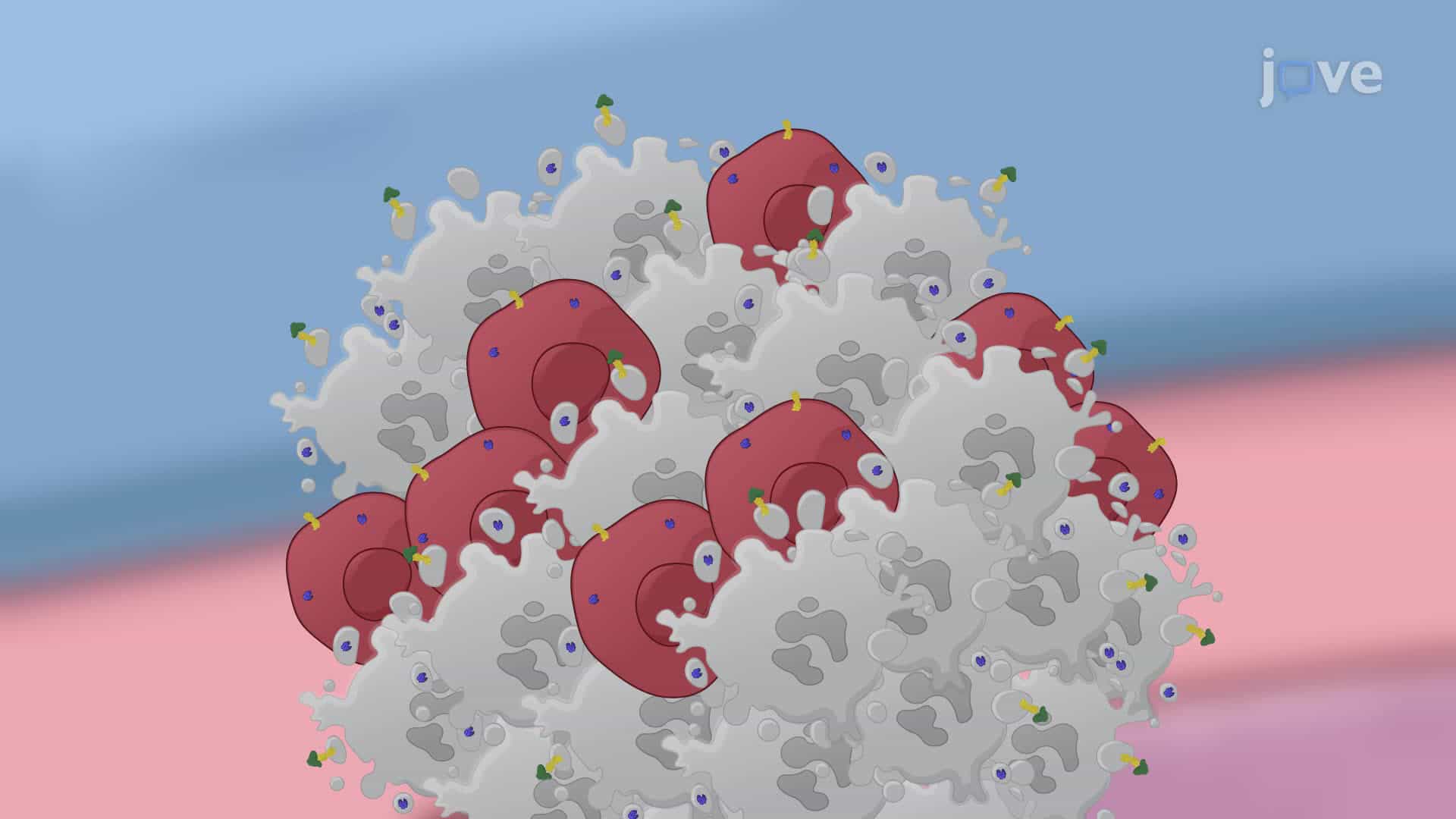 A Near-Infrared Photoimmunotherapy Technique to Treat Lung Cancer in a Murine Model
