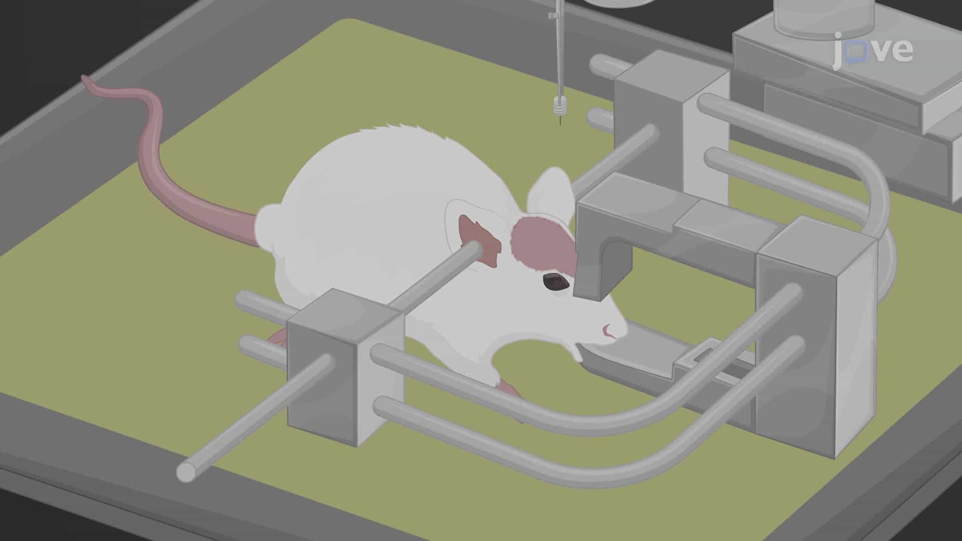 Intracranial Cannular Implantation in a Mouse to Deliver Therapeutic Agents to Brain Tumors