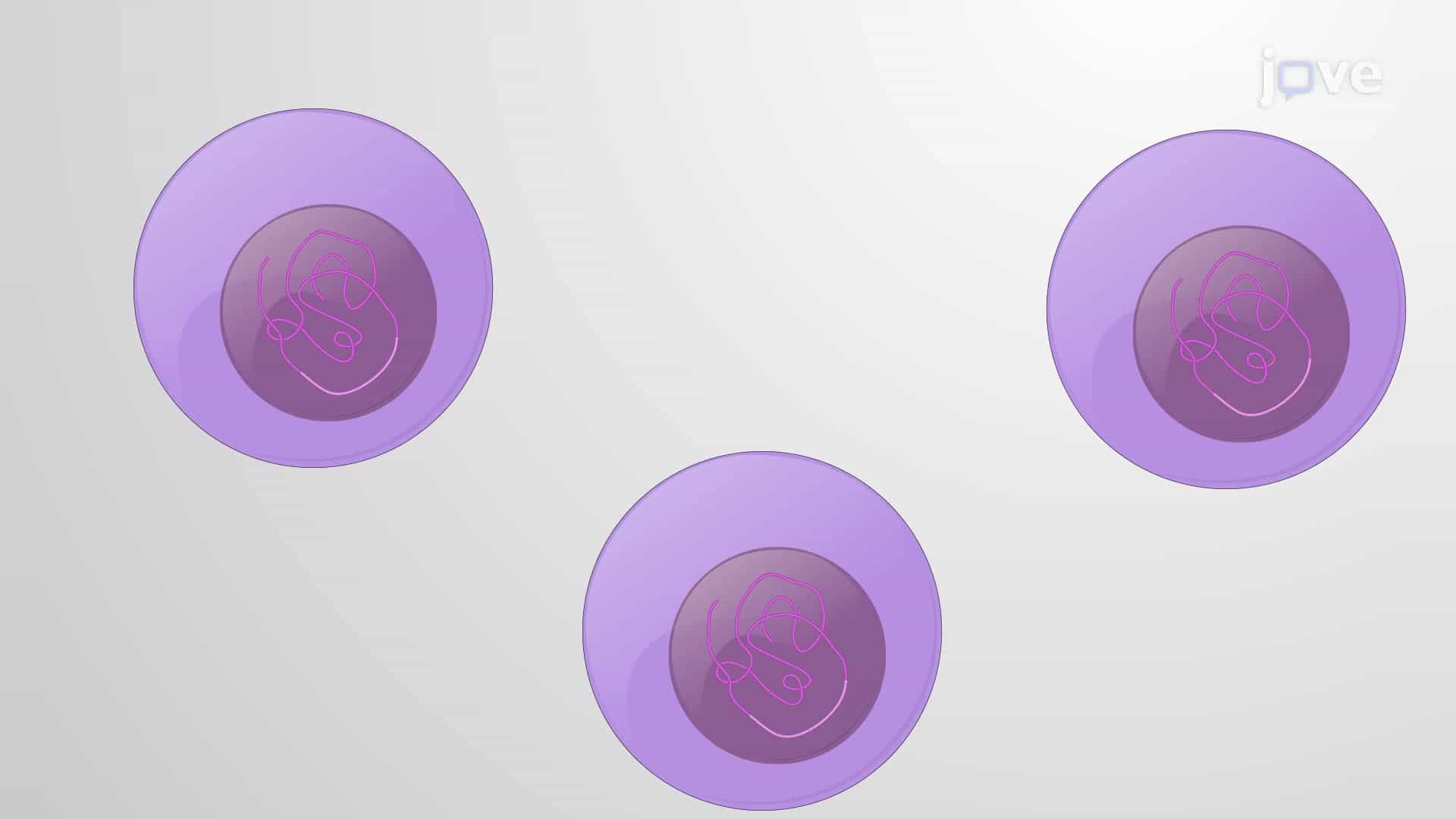 Genetically Modifying CAR T Cells Using a CRISPR-Cas9 System