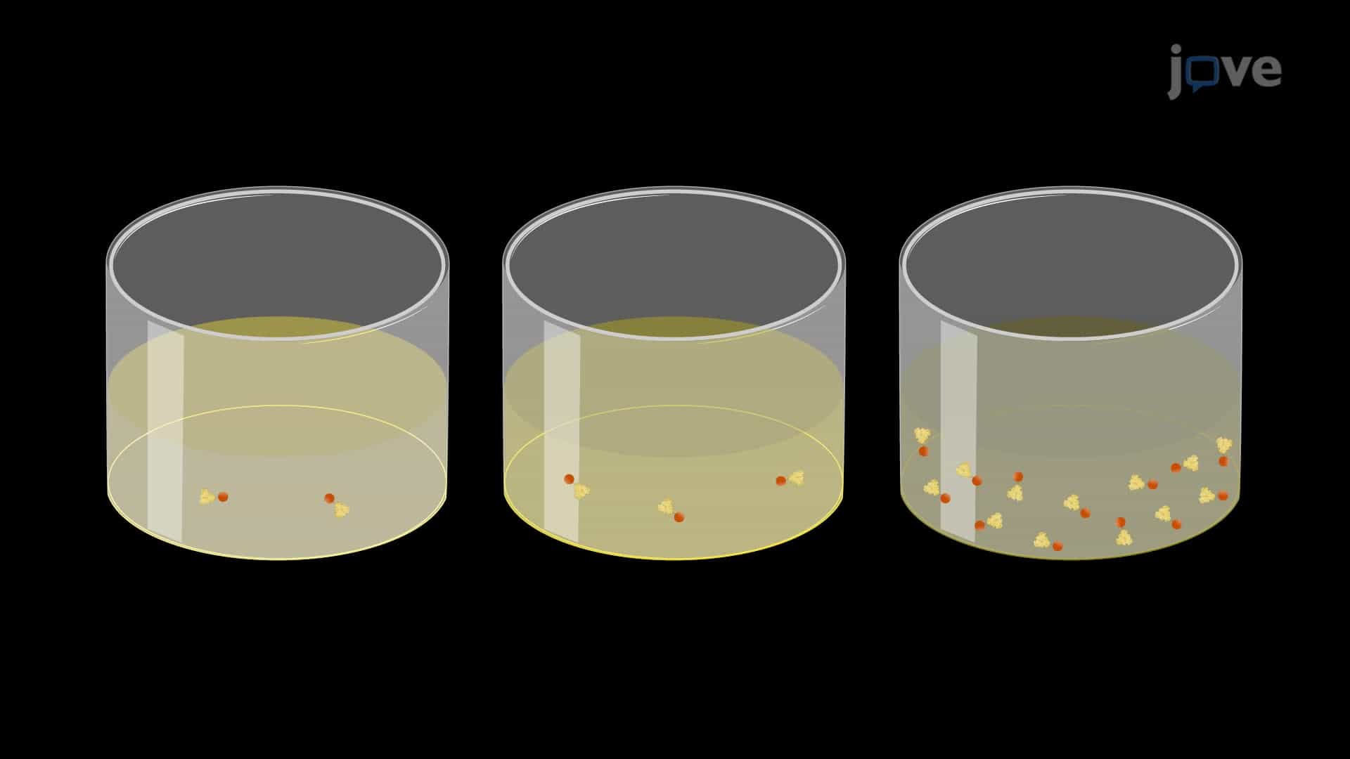 A Technique to Generate a Novel Delivery Platform for a Delayed Burst Release of Molecules
