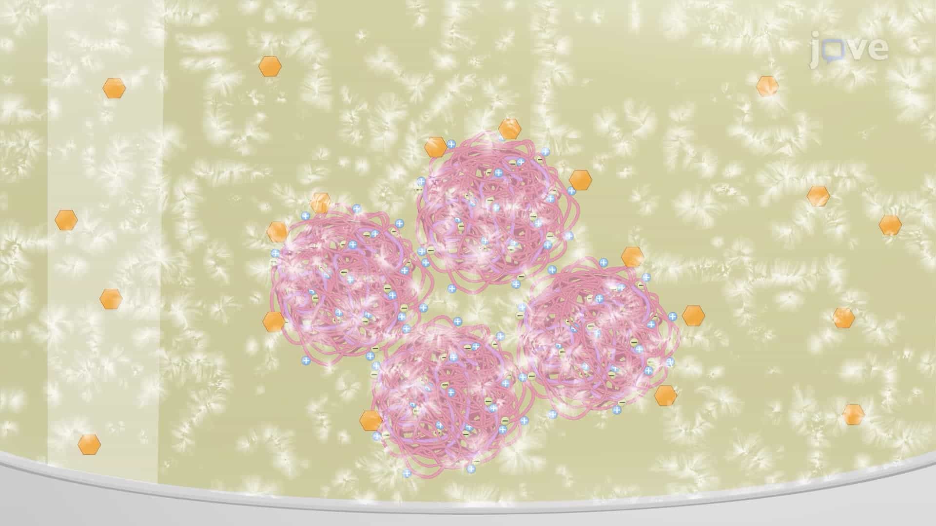 Formulating mRNA-Loaded Nanoparticles for Vaccination Purposes