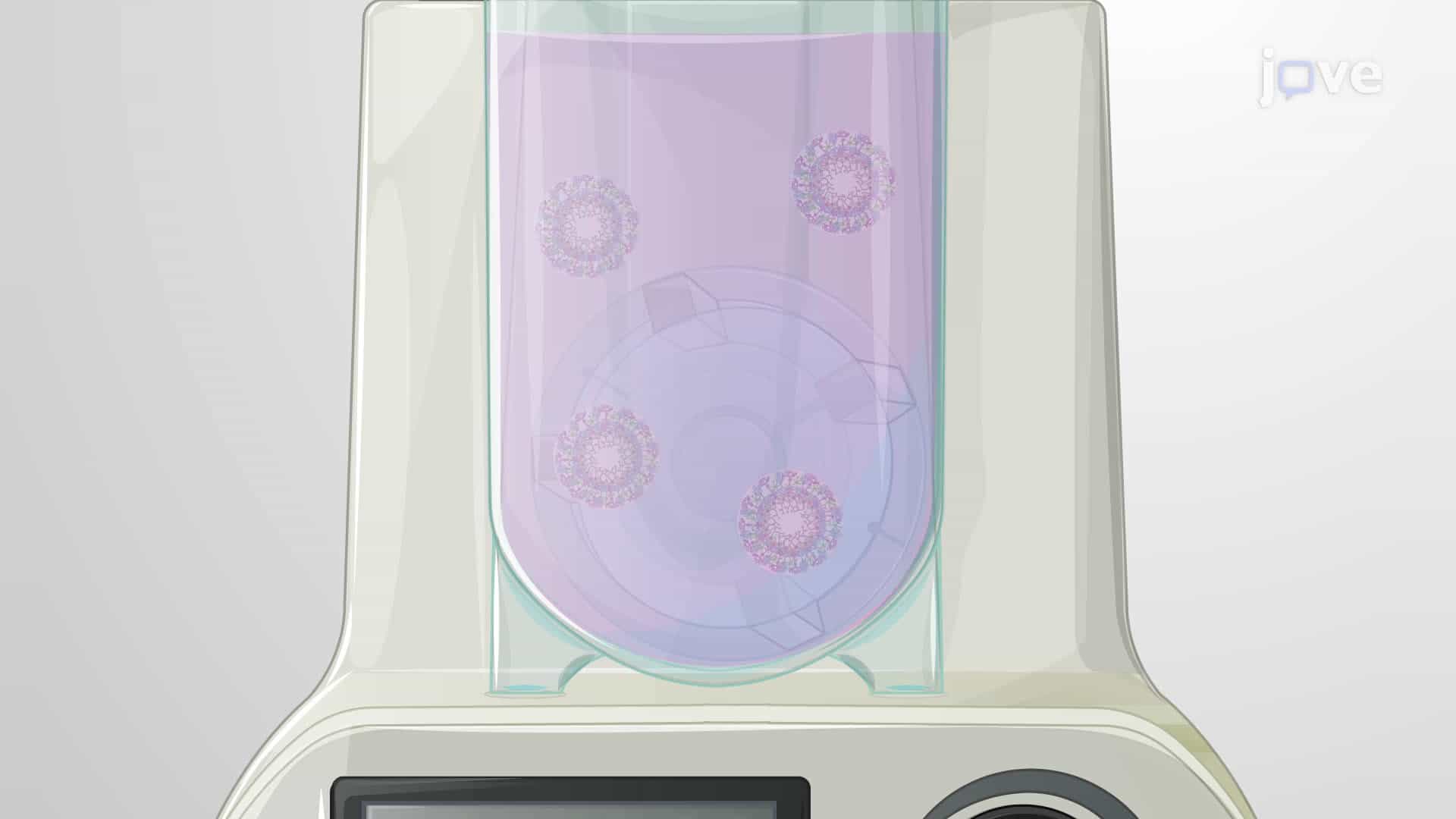 Generating Mature Cerebellar Organoids From Induced Pluripotent Stem Cells Using Single-Use Bioreactors