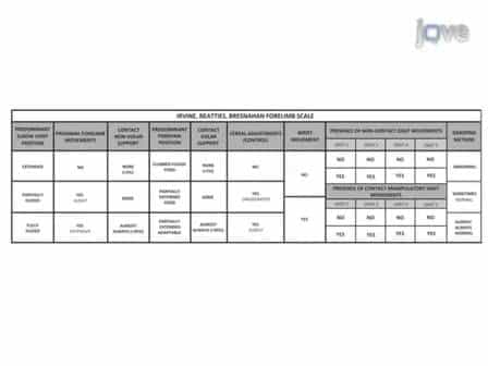 A Novel Method for Assessing Proximal and Distal Forelimb Function in the Rat: the Irvine, Beatties and Bresnahan IBB Forelimb Scale