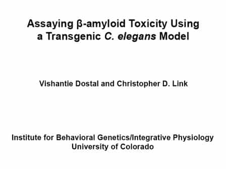 Assaying &beta;-amyloid Toxicity using a Transgenic C. elegans Model