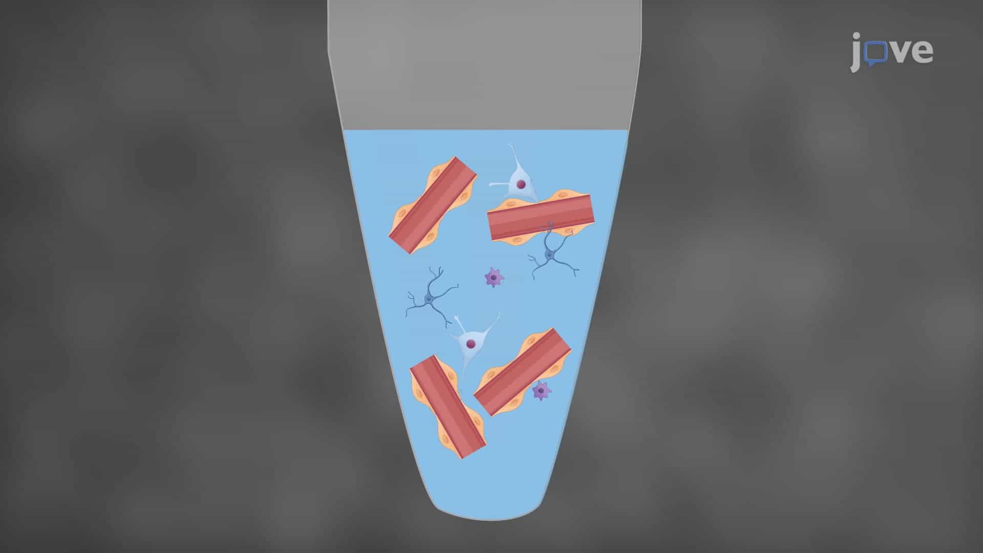A Method for the Isolation of Neurovascular Units from Rat Brain