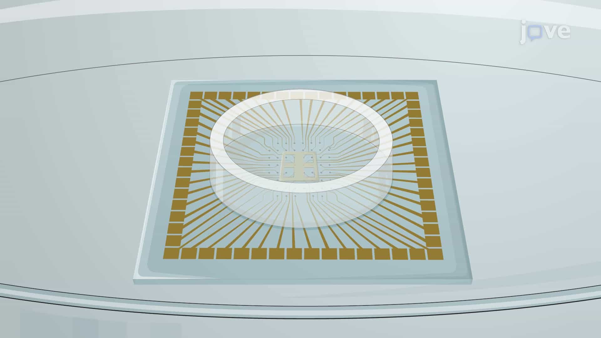 Constructing Patterned Neuronal Circuits on a Multi-Electrode Array