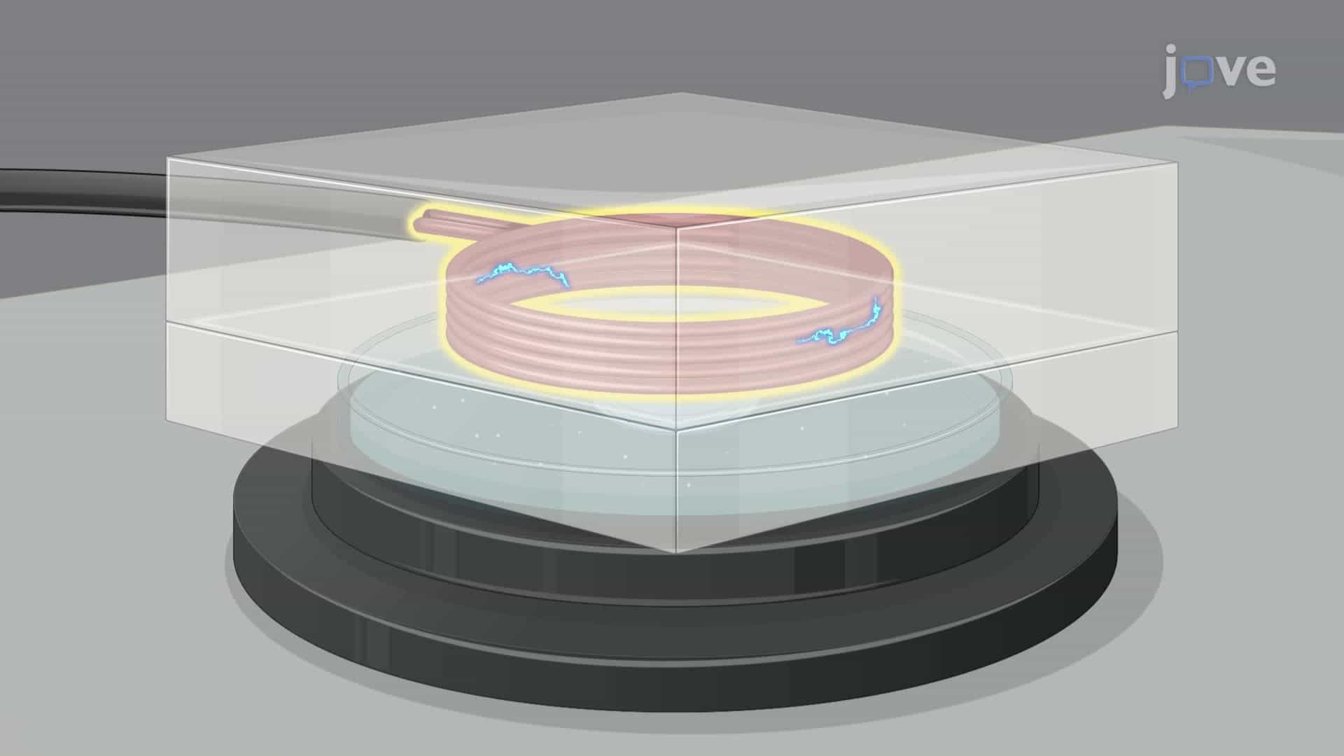 Stimulation of Patterned Neuronal Cultures by a Magnetic Field