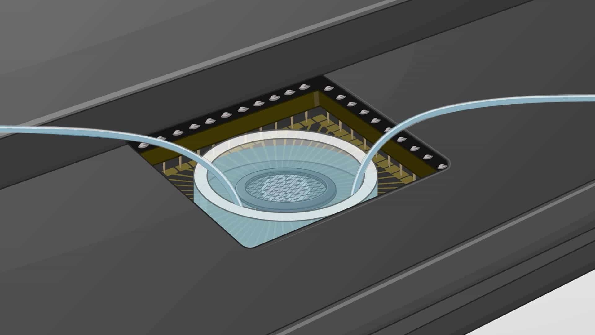 Microelectrode Array-Based Assessment of Neuronal Networks in Mouse Spinal Cord Slices