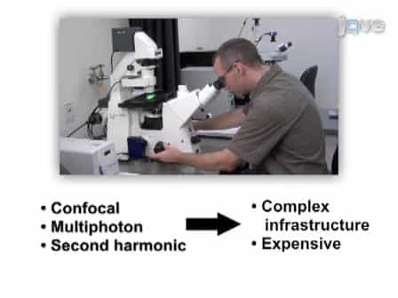 High-resolution Fiber-optic Microendoscopy for in situ Cellular Imaging