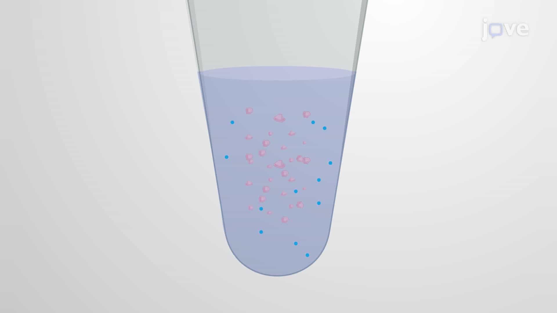 Crosslinking Neuronal Surface Proteins in the Mouse Brain using a Chemical Crosslinking Assay
