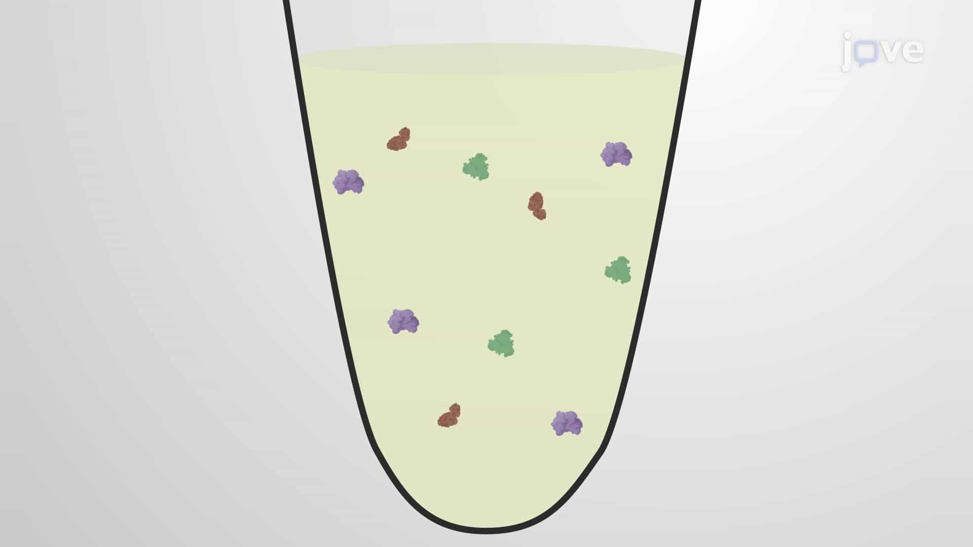 Immunoassay to Detect Age-Related Neurogenesis from Cerebrospinal Fluid