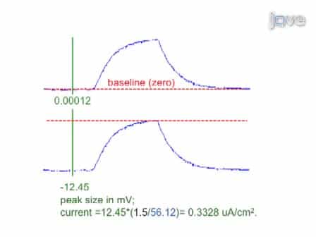Measurement of Bioelectric Current with a Vibrating Probe