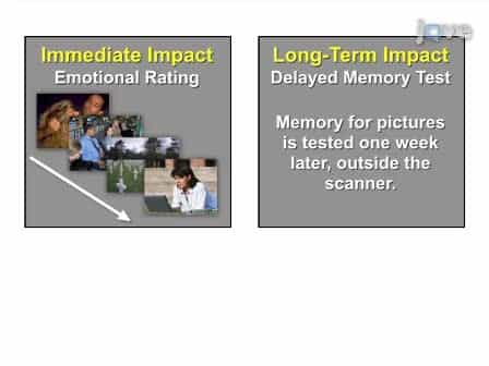 Brain Imaging Investigation of the Neural Correlates of Emotion Regulation