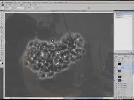 Localizing Protein in 3D Neural Stem Cell Culture: a Hybrid Visualization Methodology