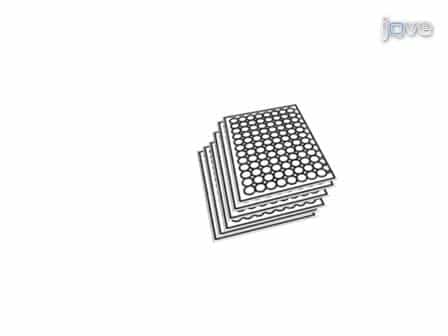 Measuring Caenorhabditis elegans Life Span in 96 Well Microtiter Plates