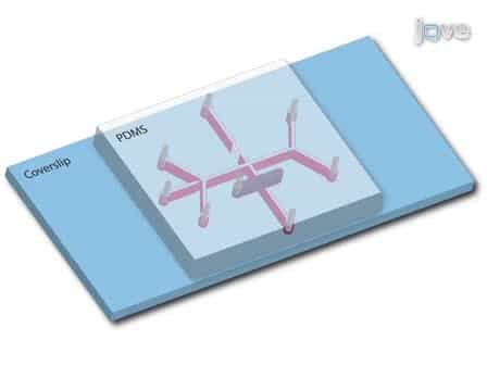 A Microfluidic-based Hydrodynamic Trap for Single Particles
