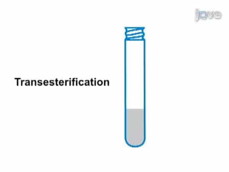 Arabidopsis thaliana Polar Glycerolipid Profiling by Thin Layer Chromatography TLC Coupled with Gas-Liquid Chromatography GLC