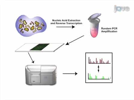 Using a Pan-Viral Microarray Assay Virochip to Screen Clinical Samples for Viral Pathogens