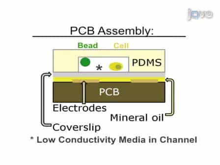 Separating Beads and Cells in Multi-channel Microfluidic Devices Using Dielectrophoresis and Laminar Flow