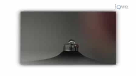 NanoDrop Microvolume Quantitation of Nucleic Acids