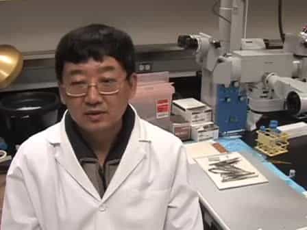 Small Bowel Transplantation In Mice