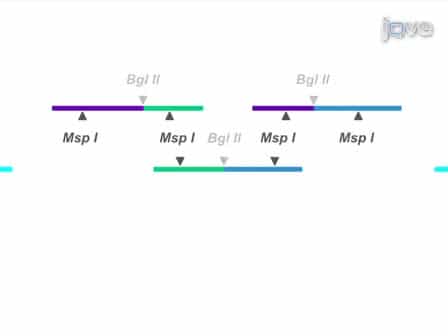 Associated Chromosome Trap for Identifying Long-range DNA Interactions