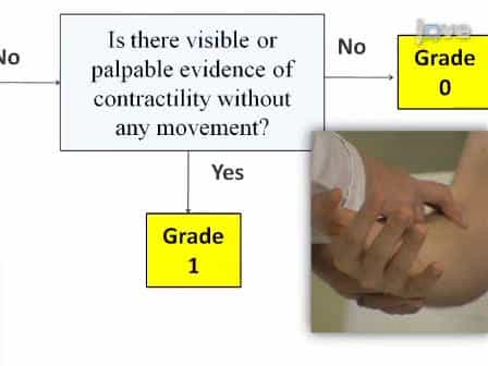Manual Muscle Testing: A Method of Measuring Extremity Muscle Strength Applied to Critically Ill Patients