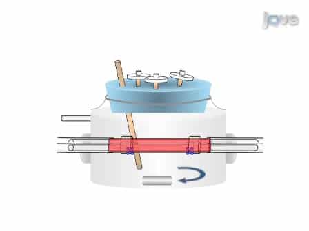 Engineering Biological-Based Vascular Grafts Using a Pulsatile Bioreactor