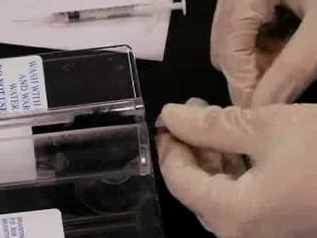 Dissection and 2-Photon Imaging of Peripheral Lymph Nodes in Mice