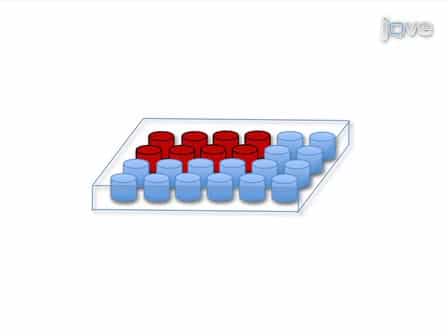 Accurate and Simple Measurement of the Pro-inflammatory Cytokine IL-1β using a Whole Blood Stimulation Assay