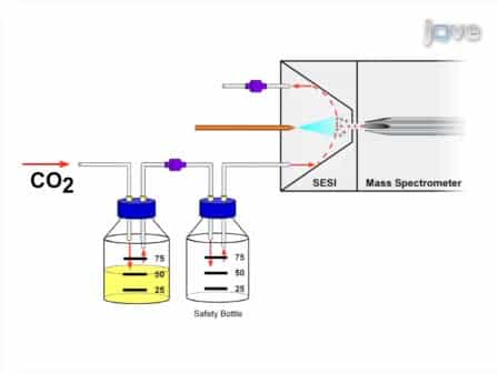 Characterizing Bacterial Volatiles using Secondary Electrospray Ionization Mass Spectrometry (SESI-MS)