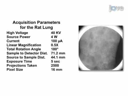 High Resolution 3D Imaging of Ex-Vivo Biological Samples by Micro CT