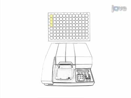 Insulin Injection and Hemolymph Extraction to Measure Insulin Sensitivity in Adult Drosophila melanogaster