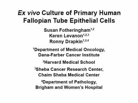 Ex Vivo Culture of Primary Human Fallopian Tube Epithelial Cells