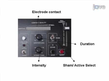 Electrode Positioning and Montage in Transcranial Direct Current Stimulation