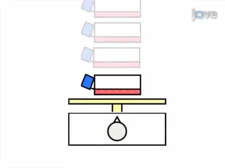 A Simple and Efficient Method to Isolate Macrophages from Mixed Primary Cultures of Adult Liver Cells