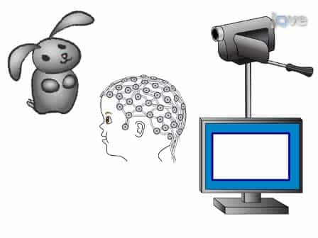Investigating Social Cognition in Infants and Adults Using Dense Array Electroencephalography (dEEG)