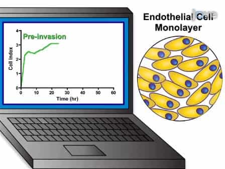 A Real-time Electrical Impedance Based Technique to Measure Invasion of Endothelial Cell Monolayer by Cancer Cells