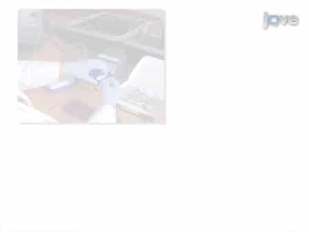 Rapid Diagnosis of Avian Influenza Virus in Wild Birds: Use of a Portable rRT-PCR and Freeze-dried Reagents in the Field