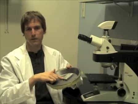 Low-Cost Cryo-Light Microscopy Stage Fabrication for Correlated Light/Electron Microscopy