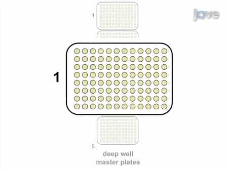 High Throughput Screening of Fungal Endoglucanase Activity in Escherichia coli