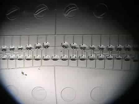 Microfluidic Chips Controlled with Elastomeric Microvalve Arrays