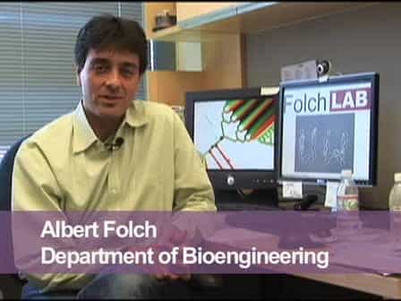 BioMEMS and Cellular Biology: Perspectives and Applications