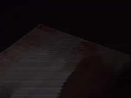 Rat Mesentery Angiogenesis Assay