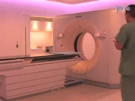 Stem Cell Transplantation Strategies for the Restoration of Cognitive Dysfunction Caused by Cranial Radiotherapy
