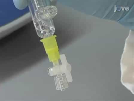 Separation of Single-stranded DNA, Double-stranded DNA and RNA from an Environmental Viral Community Using Hydroxyapatite Chromatography