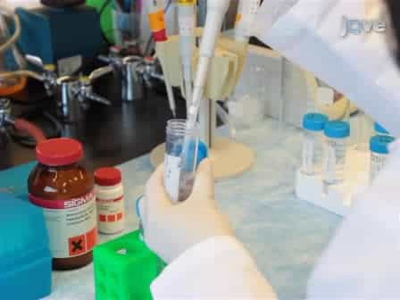 Monitoring Equilibrium Changes in RNA Structure by 'Peroxidative' and 'Oxidative' Hydroxyl Radical Footprinting