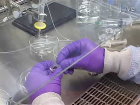 Culturing and Electrophysiology of Cells on NRCC Patch-clamp Chips