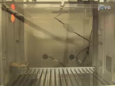 A General Method for Evaluating Incubation of Sucrose Craving in Rats