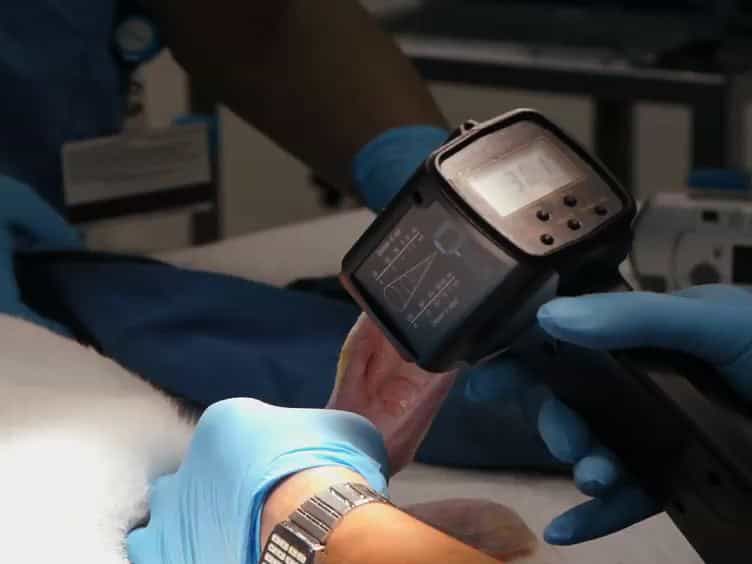 A Simplified Technique for Producing an Ischemic Wound Model